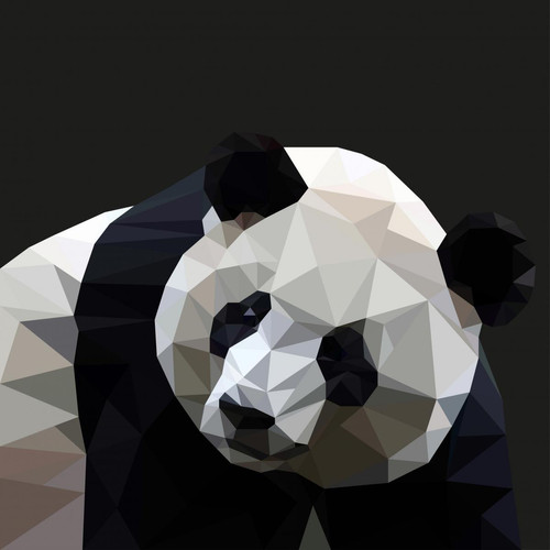 Tableau Pattern Panda 50x50 - DeclikDeco - Tableau Voyage