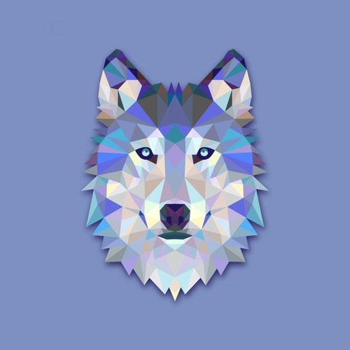 Tableau Animal Design Blue Wolf 50x50 DeclikDeco  - Tableaux design