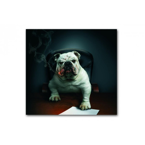 Tableau Animaux Chien Bulldog avec Cigare 50X50 cm DeclikDeco  - Tableau multicolore