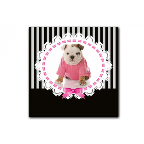 Tableau enfant Bulldog en Pullover 50X50 cm DeclikDeco  - Tableau multicolore