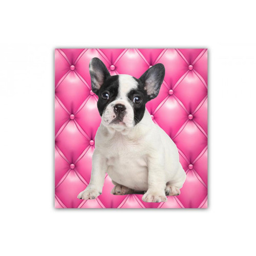 Tableau Animaux Chien Bulldog Fond Rose Capitonné 50X50 cm DeclikDeco  - Deco meuble original