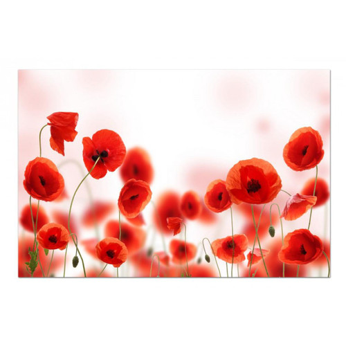 Tableau Floral Parterre de Coquelicot L.80 x H.55 cm DeclikDeco  - Tableau design rouge