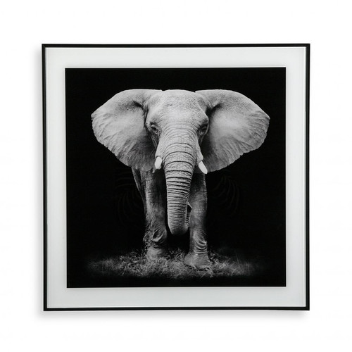 Tableau Noir et Blanc ELEPHANT - Tableaux design