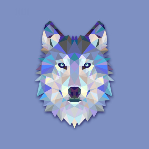 Tableau Animal Design Blue Wolf 50x50 DeclikDeco  - Tableau Voyage