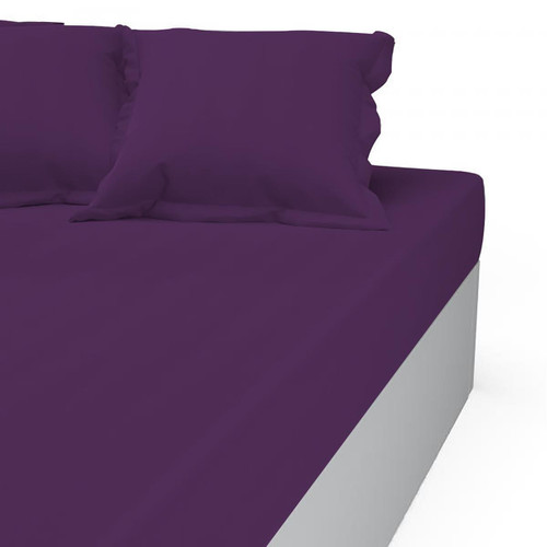 Drap-housse coton TERTIO® - Violet - Promos deco design 30 a 40