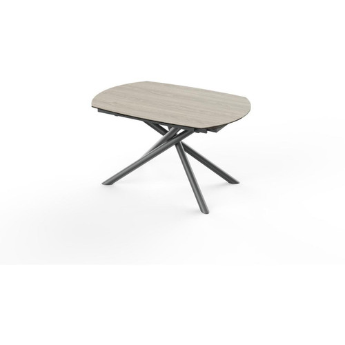 Table de repas ovale pieds en métal BRIGA Marron 3S. x Home  - Nouveautes deco design