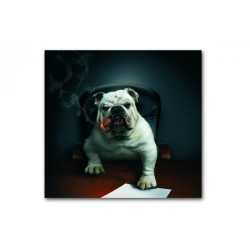 Tableau Animaux Chien Bulldog avec Cigare 50X50 cm