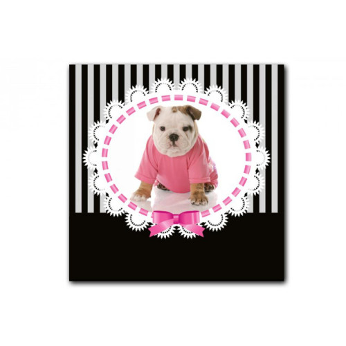 Tableau enfant Bulldog en Pullover 60X60 cm - Tableau enfant