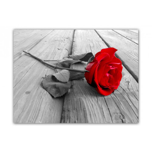 Tableau Romantique Rose Rouge L.80 x H.55 cm