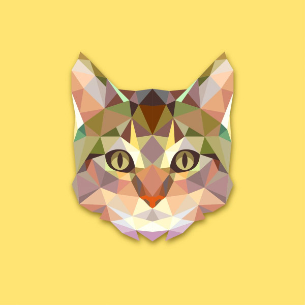 Tableau Animaux Chat Jaune 50X50