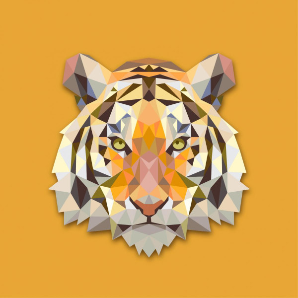 Tableau Animaux Tigre Orange 50X50