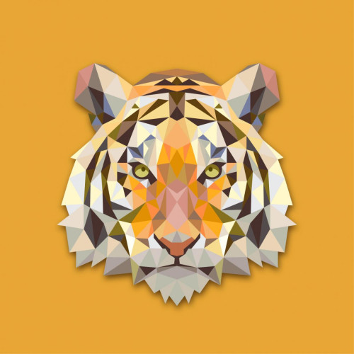Tableau Animaux Tigre Orange 60X60 DeclikDeco  - Tableaux design