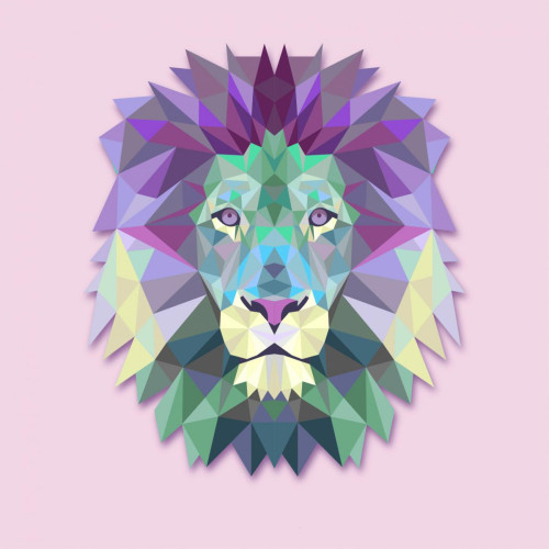 Tableau Animaux Lion Rose 60X60 - Deco luminaire exotique