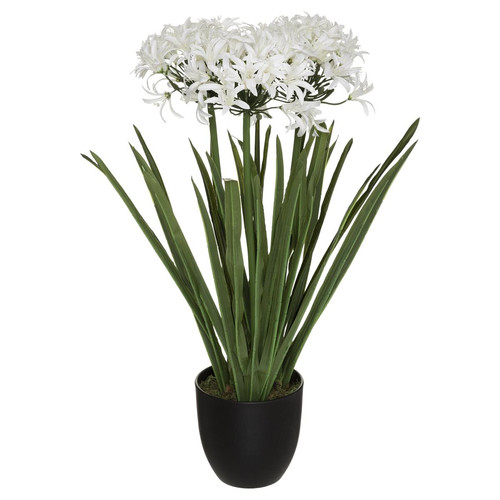 Agapanthe Hauteur 66 cm 3S. x Home  - Deco plantes fleurs artificielles