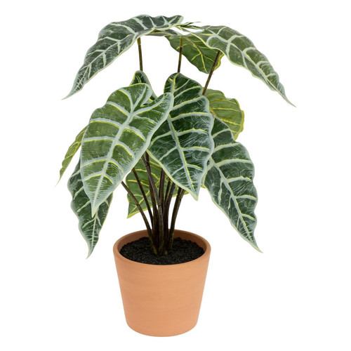 Plante Artificielle Alocasia "Soleya" 43cm Vert