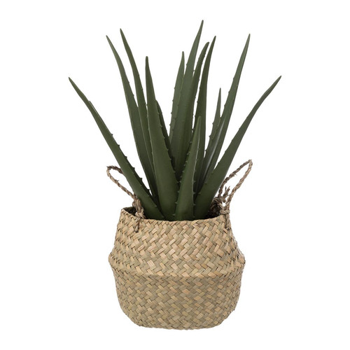 Aloe avec pot naturel H37cm beige 3S. x Home  - Objet deco design