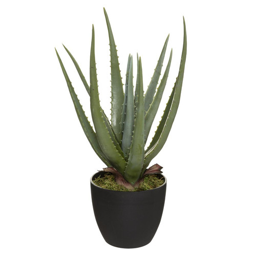 Aloe Real Touch H44 3S. x Home  - Deco plantes fleurs artificielles
