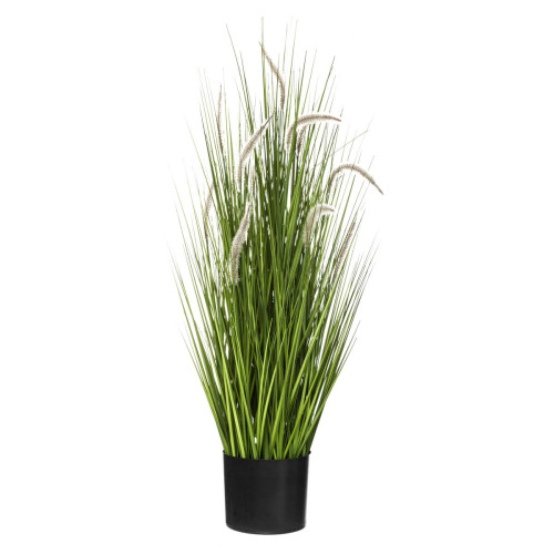 Bunch Herbe + Cat Tails H 100
