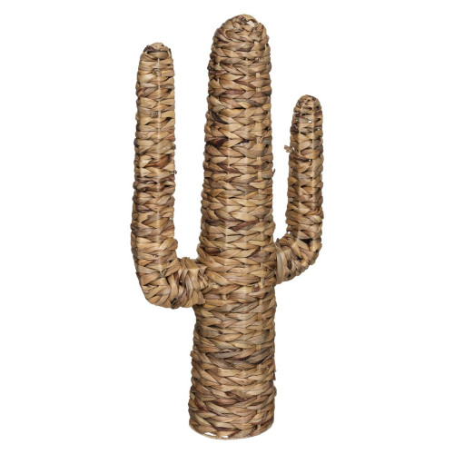 Cactus Grand Modèle Haci 3S. x Home  - Statue design