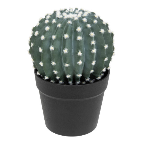 Cactus Rond Pot Plastique RAN H25 - 3S. x Home - Deco luminaire vert