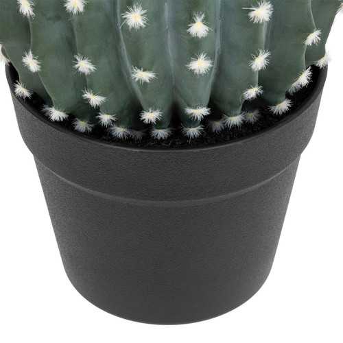 Cactus Rond Pot Plastique RAN H25