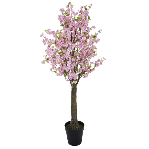 Cerisier Rose H. 200 Cm
