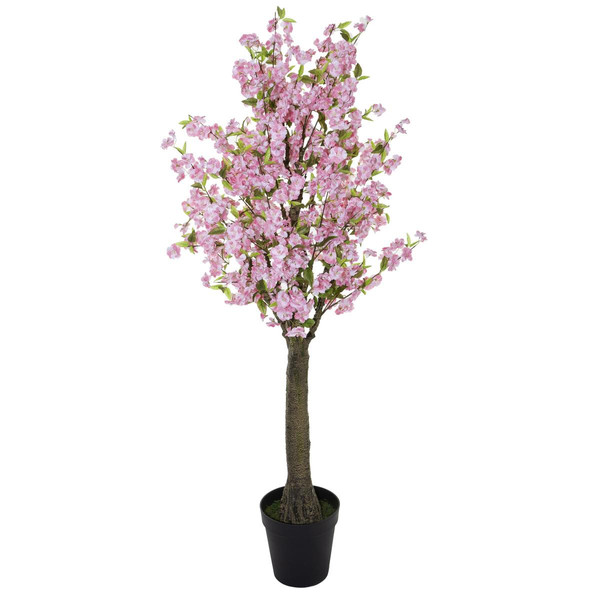 Cerisier Rose Hauteur 200 Cm