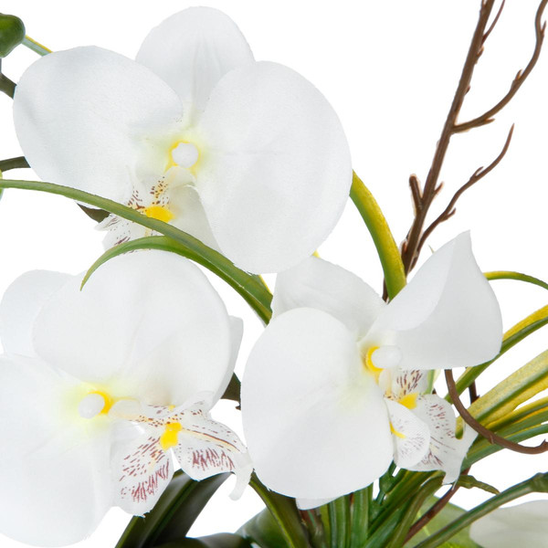 Composition d'orchidées avec vase céramique blanche H44