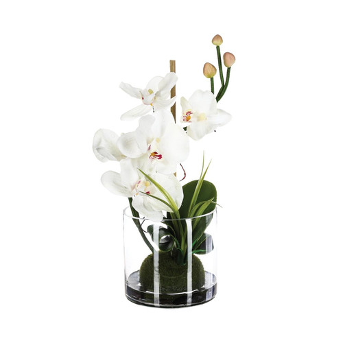 Composition orchidée en vase H37 blanc