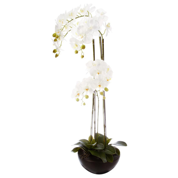 Orchidée En Pot Céramique Hauteur 115 cm