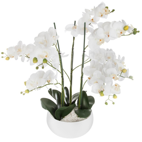 Orchidée pot céramique blanc H65