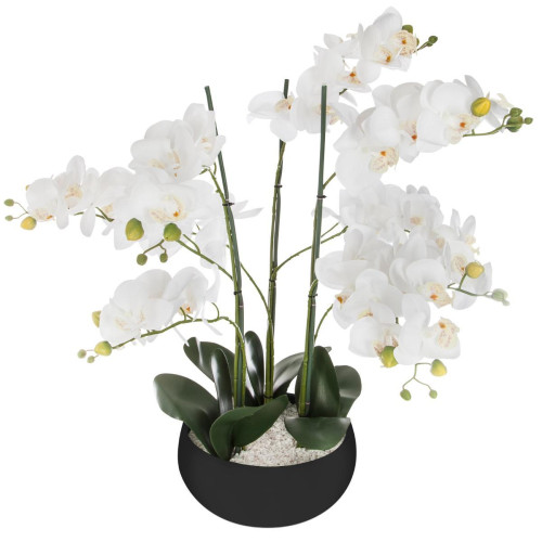 Orchidée pot céramique noir H65