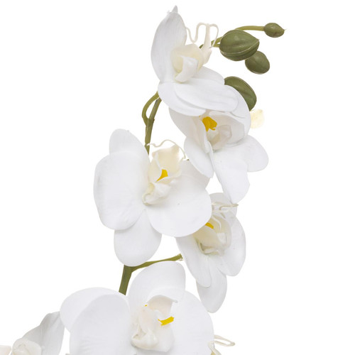 Orchidee Pot Céramique Reactive modèle A H 45