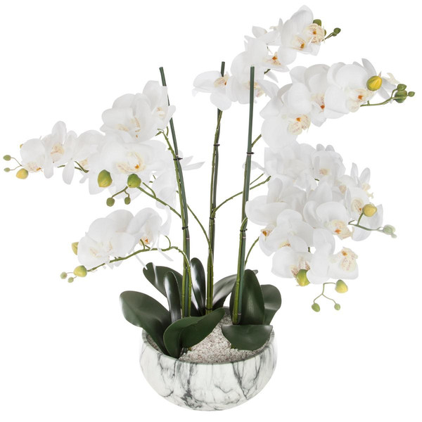 Orchidée pot ciment marbre H65 cm