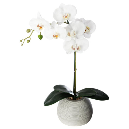 Orchidée real touchent H.50 cm 3S. x Home  - Objet deco design