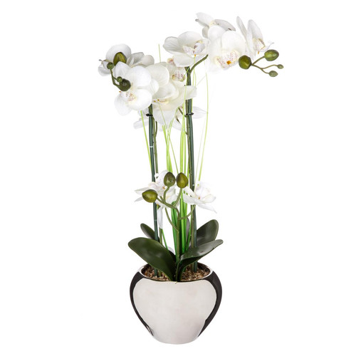 Orchidée et son vase argenté