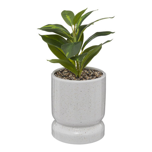 Plante avec pot en céramique "Reactive" H30cm