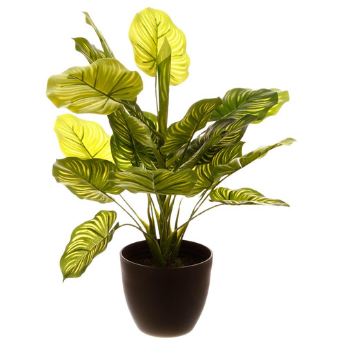 Plante verte H45 - Deco plantes fleurs artificielles