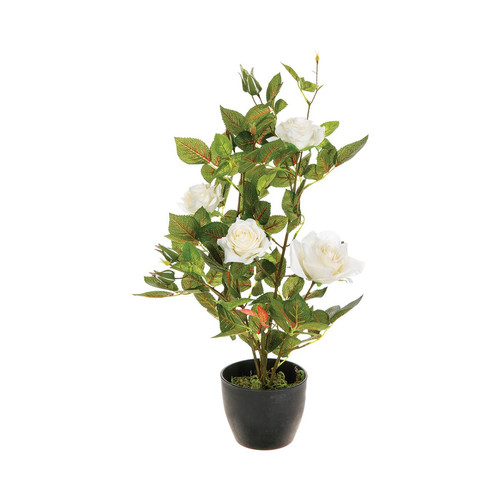 Rosier en pot H50 Blanc - 3S. x Home - Deco plantes fleurs artificielles