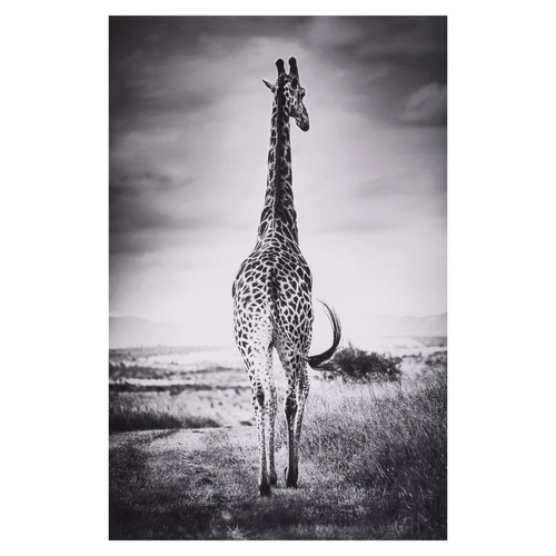 Toile Imprimé girafe 75 x 115  - 3S. x Home - Déco et luminaires