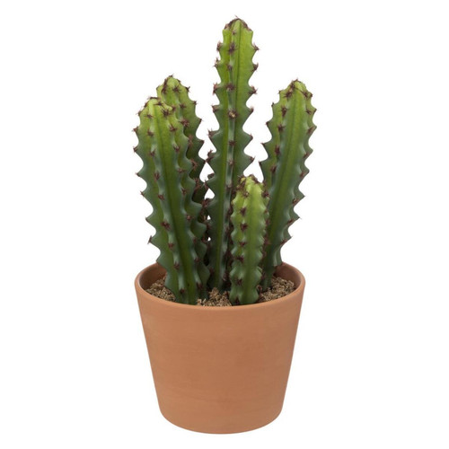 Cactus en pot "Ali" terracotta H25cm - 3S. x Home - 3s x home