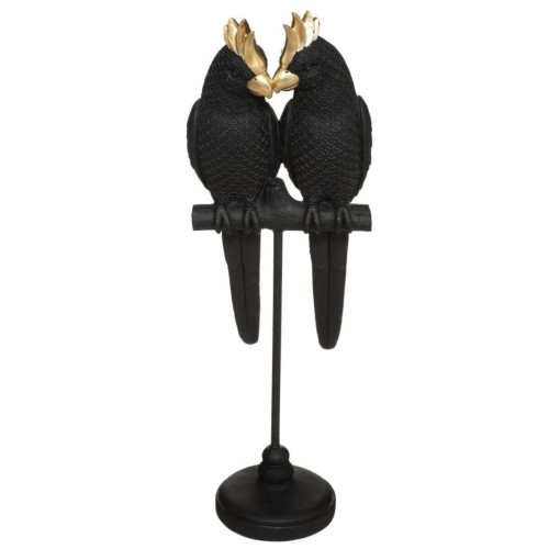 Couple Oiseau Noir Suite H35
