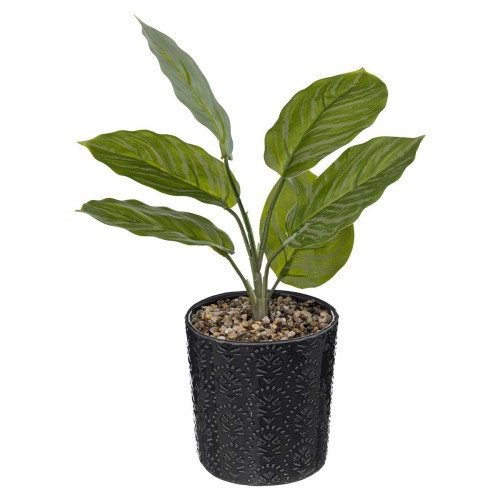 Plante en pot "Night" en céramique H35cm gris