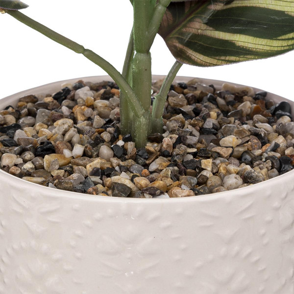 Plante en pot "Night" en céramique H35cm