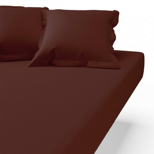 Drap-housse coton TERTIO® - Chocolat 3S. x Tertio (Nos Unis)  - Chambre lit