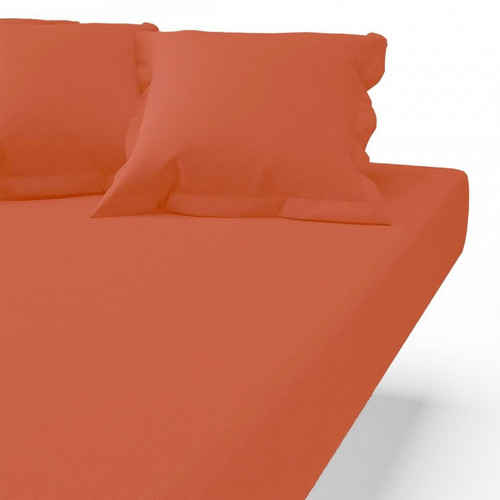 Drap-housse coton TERTIO® - Tangerine - 3S. x Tertio (Nos Unis) - Linge de lit