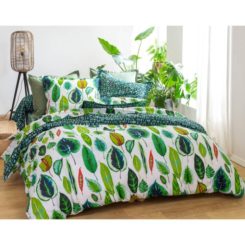 Drap plat  OKAZIA vert en coton  becquet  - Linge de lit