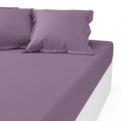 Drap-housse percale de coton TERTIO® - violet - 3S. x Tertio (Nos Unis) - Promos deco design 40 a 50