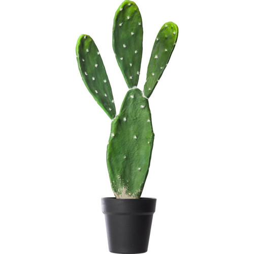 Cactus 60cm - Objet deco design
