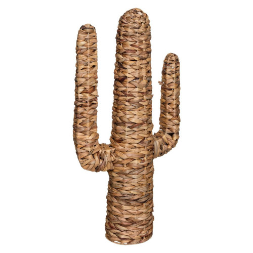 Cactus Grand Modèle Haci - Objet deco design